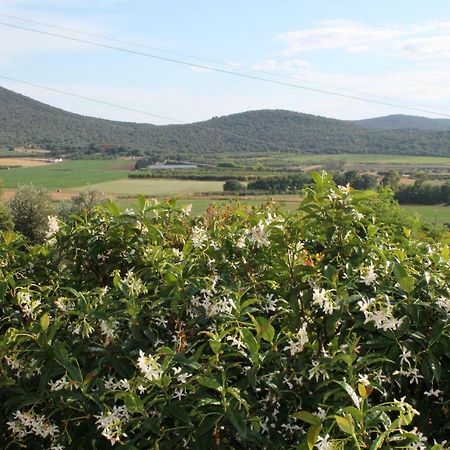 Agriturismo Podere Montenero Alberese Ngoại thất bức ảnh