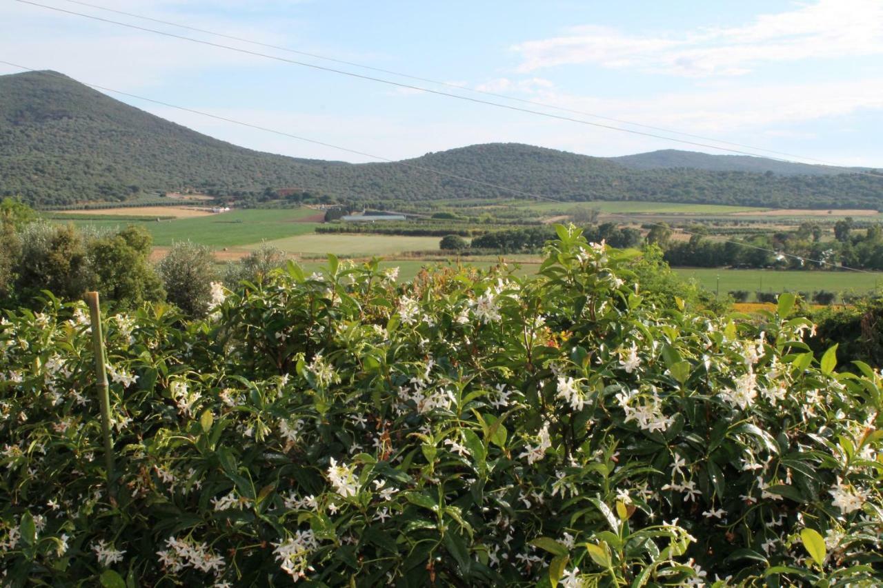 Agriturismo Podere Montenero Alberese Ngoại thất bức ảnh